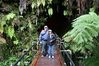 Kilauea_Volcano_4.jpg