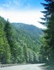 Oregon_6.jpg