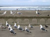 SeaSide_10.jpg
