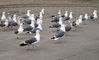 SeaSide_11.jpg