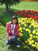 Tulip_2.jpg